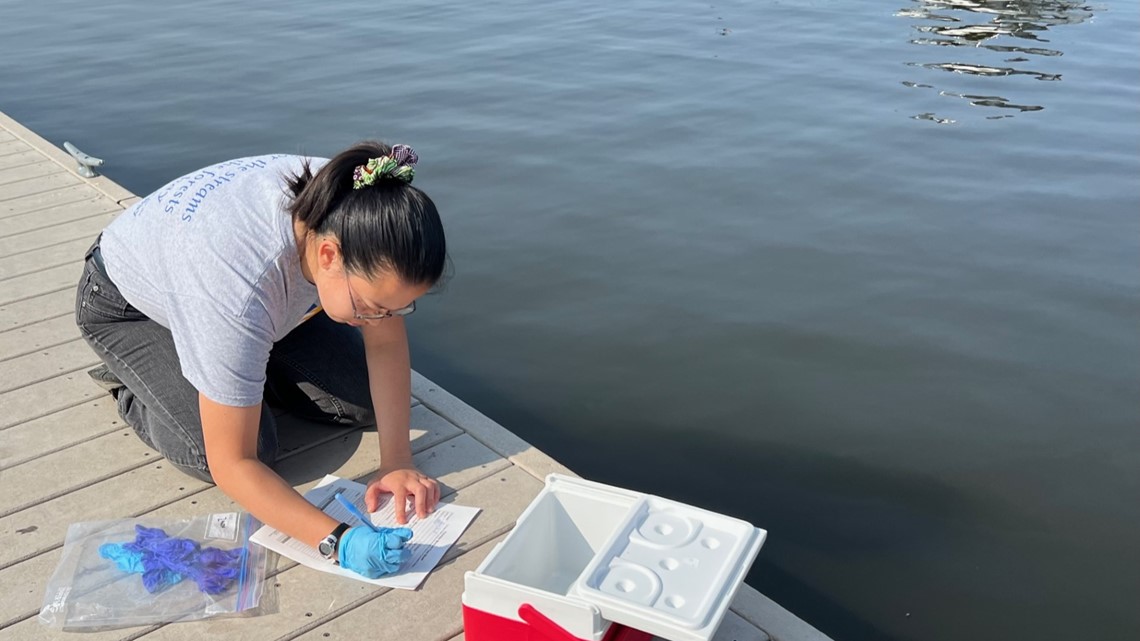 How citizen science is helping monitor local waterways ...